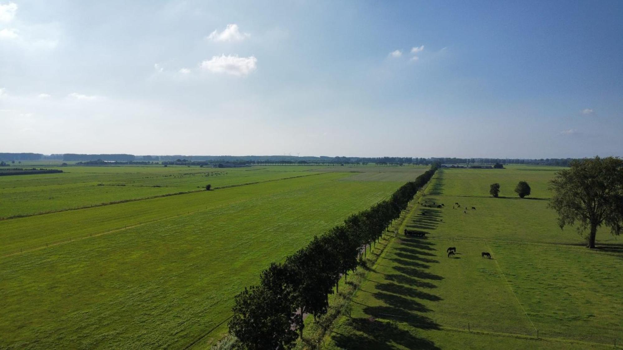 Landelijke Huis In De Betuwe Tricht 外观 照片